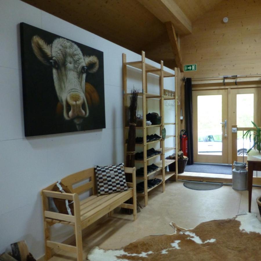 Chalet Chanso Моржин Экстерьер фото