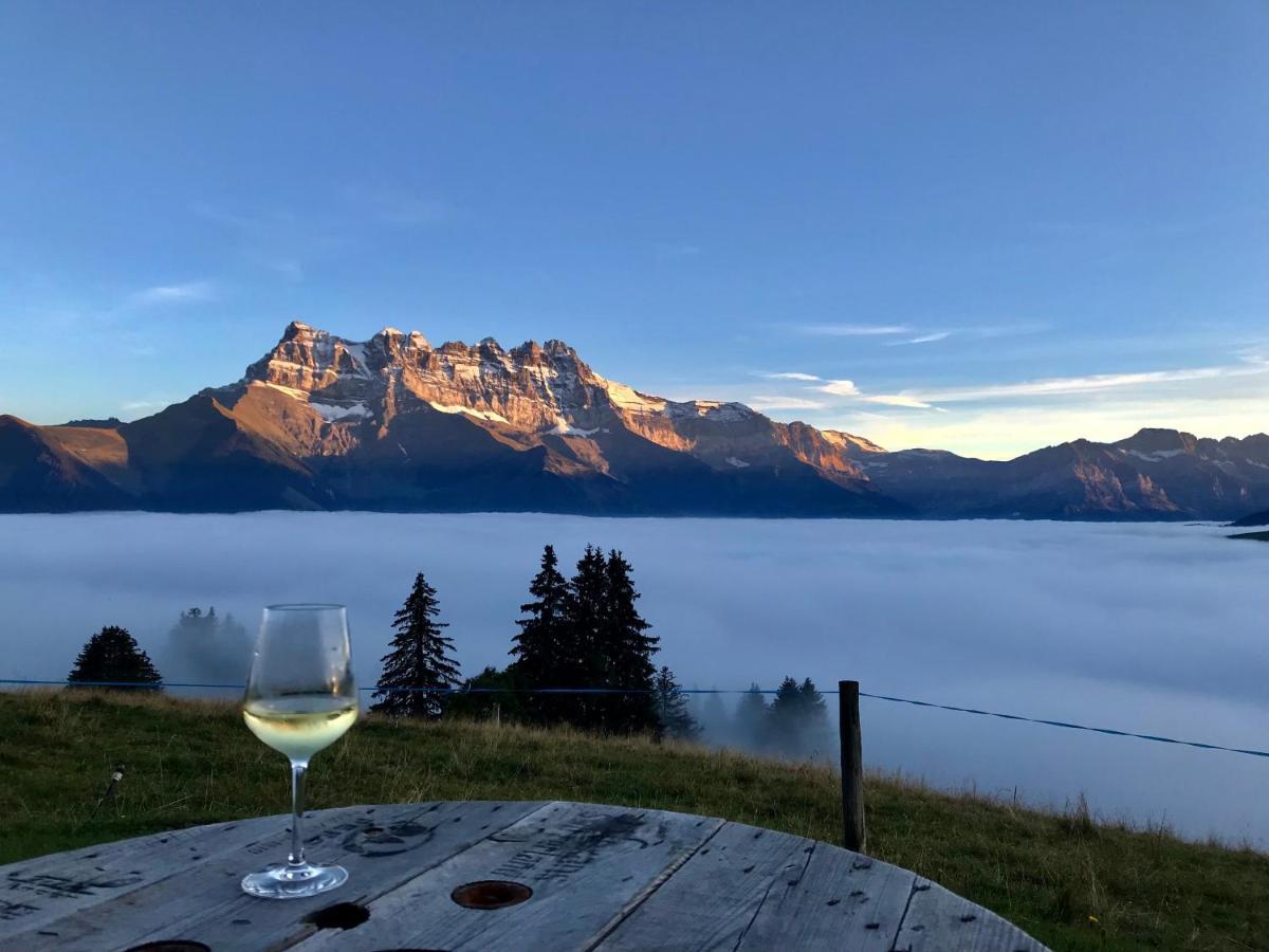 Chalet Chanso Моржин Экстерьер фото
